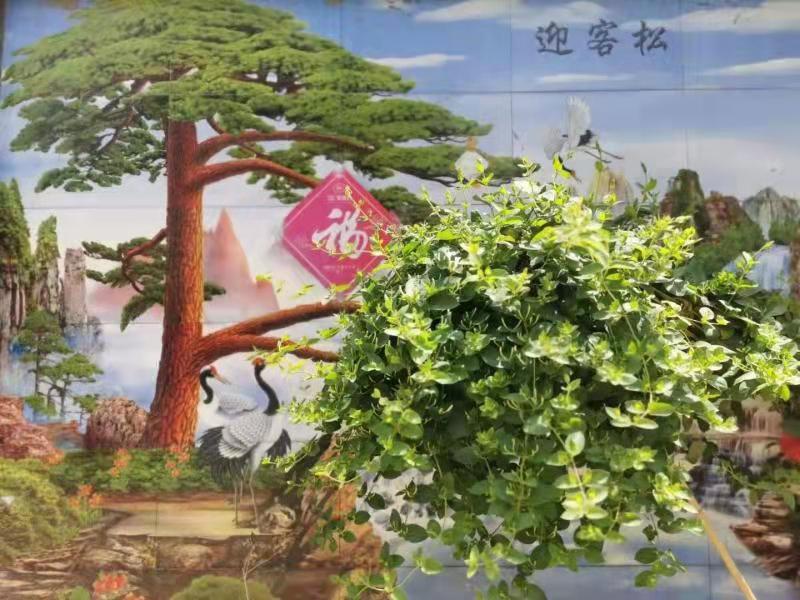 北京中聯(lián)科技網(wǎng)站SEO優(yōu)化設(shè)計推廣解決方案